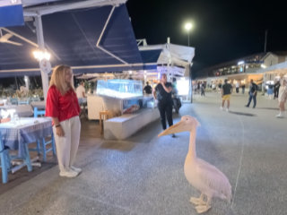 Paphos Sea Front And Harbour On Saturday Night
