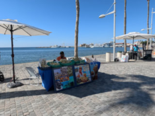 Paphos Sea Front And Harbour In October