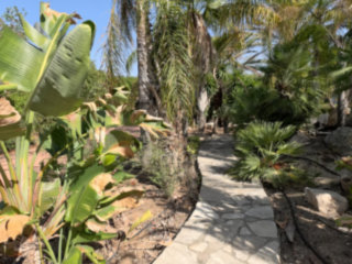 The Abandoned Botanical Gardens In Anarita, Paphos